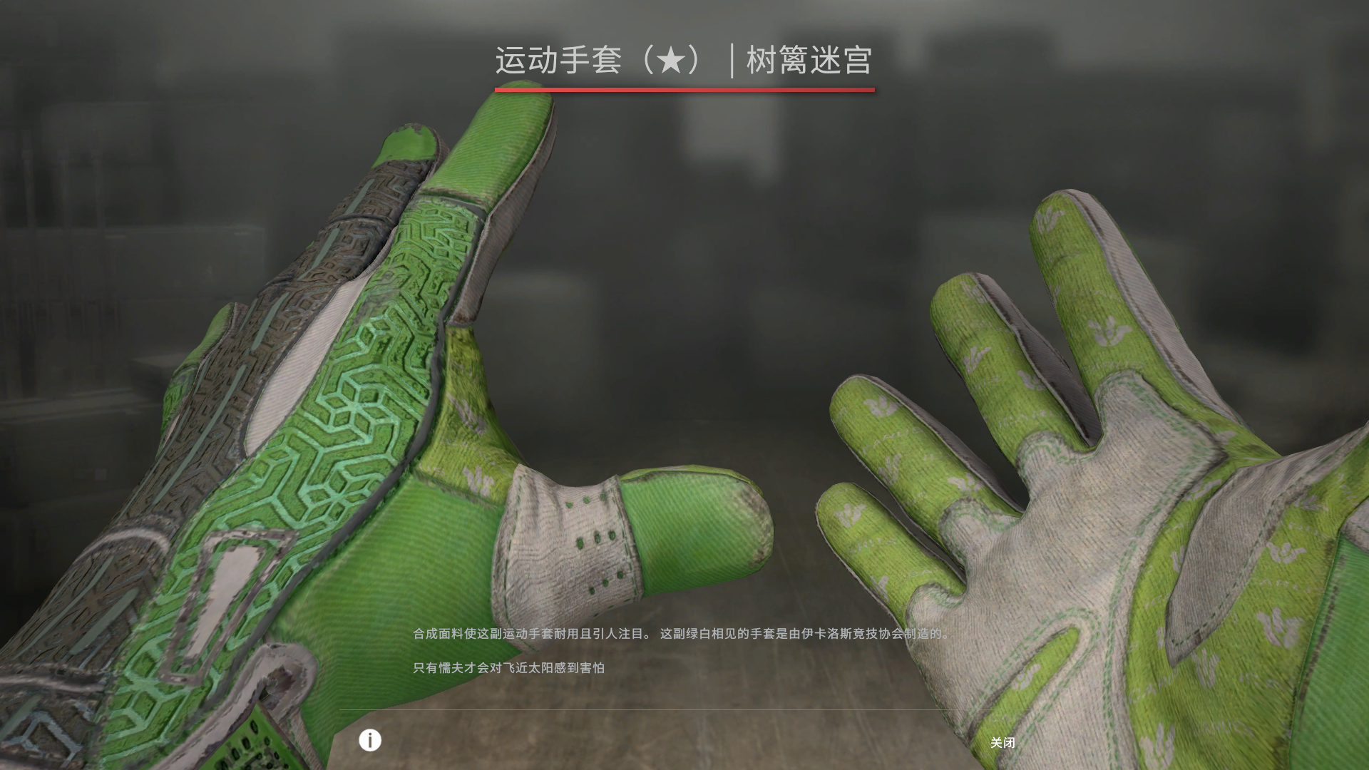 【小渔】暗金伽马m9树篱迷宫手套蝴蝶刀血腥运动ak可5e