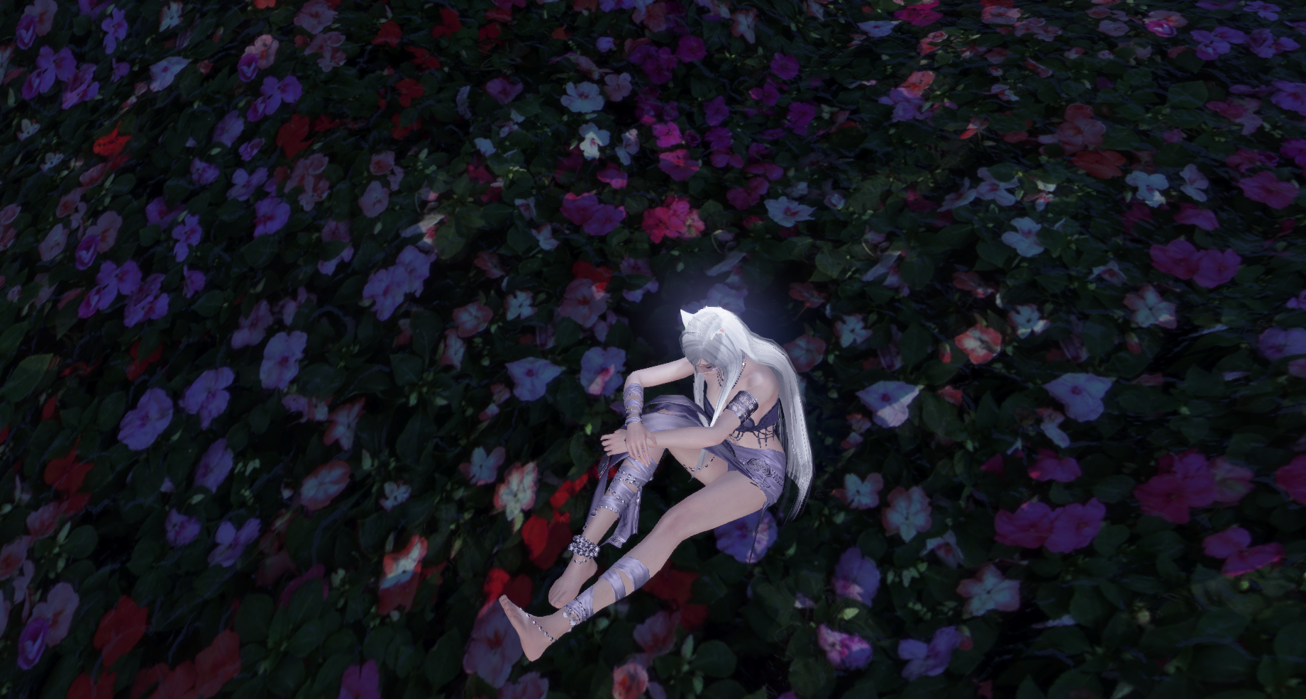 听冰舒音新红发等天赏大衣柜魅力2.1w 女号丐帮不要恶意开红